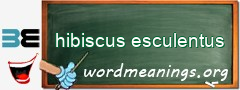 WordMeaning blackboard for hibiscus esculentus